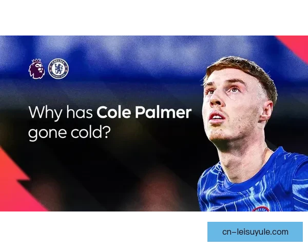 利好消息帕尔默复训回归赛场